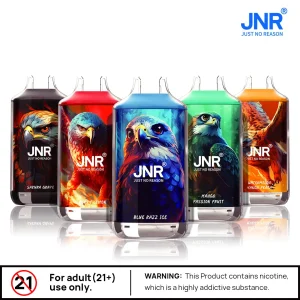 JNR Falcon 16000 Puffs | Vape rechargeable Dual Mesh JNR Falcon 16000 Puffs | Vape rechargeable Dual Mesh